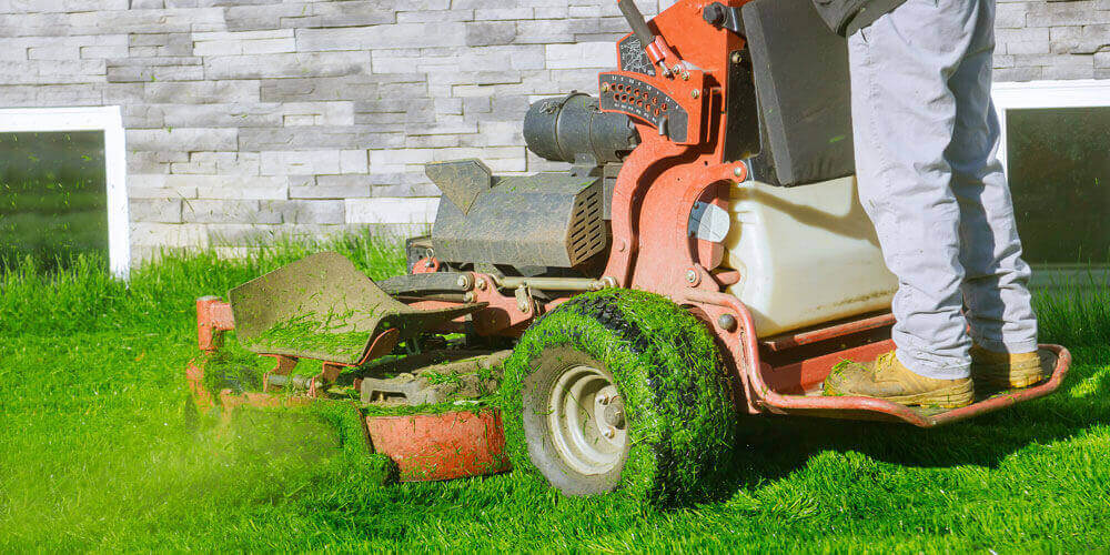 Lawn Mower Cutting The Grass Gardening Activity Own Home Yard With Lawn Mower